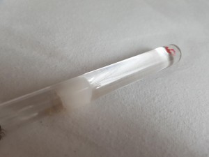 20180801_185838.jpg