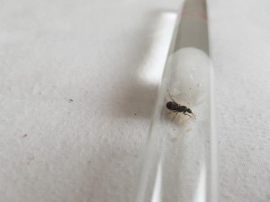20180801_190007.jpg