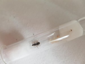 20180801_190052.jpg