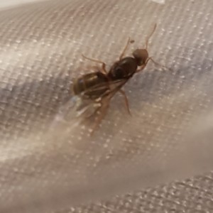 20180809_201754.jpg