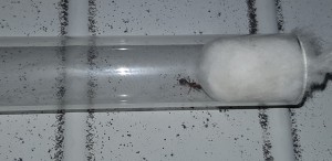 20180906_200144.jpg