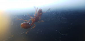 20180906_201905.jpg