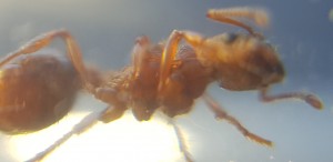 20180906_201955.jpg