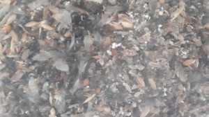 20181007_162613.jpg