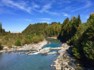 F2706C2B-CE2C-4632-8DDF-F9E460F9DD55.jpeg (1.84 MiB) 2602 mal betrachtet Habitat