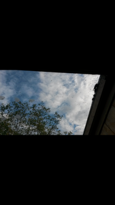 Screenshot_2018-11-24-11-14-59-810x1440.png