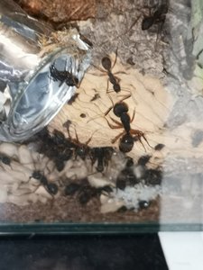 IMG_20181211_204631.jpg