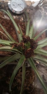 IMG-20181223-WA0024.jpeg
