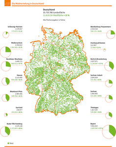 Die_Waldverteilung_in_Deutschland.jpg