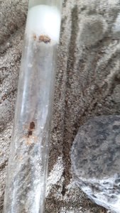 20190206_135739.jpg