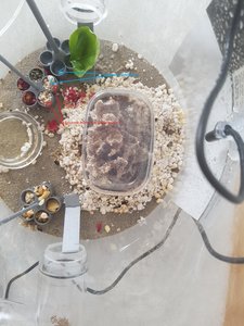 20190215_125548.jpg