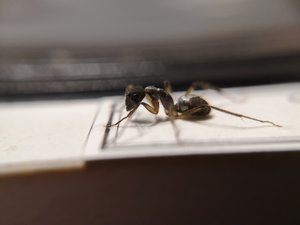 IMG_20190211_225804.jpg