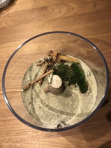 Vogelperspektive