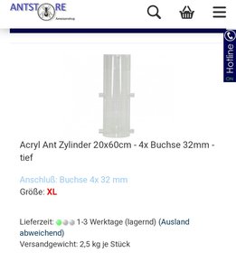 Zylinder