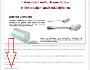 Auf der Zielwebsite tippen und Du hast das PDF