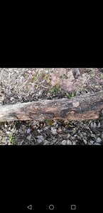 Screenshot_20190402_160745_com.android.gallery3d.jpg