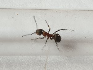 20190413_163557.jpg