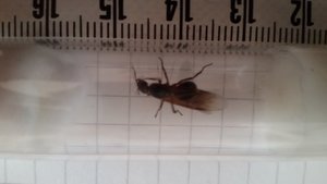 20190416_173243.jpg