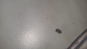 VideoCapture_20190419-175509.jpg