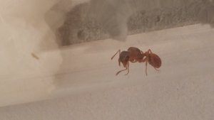20190425_180955.jpg