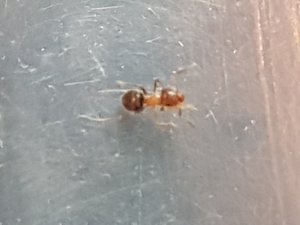 20190428_150559.jpg