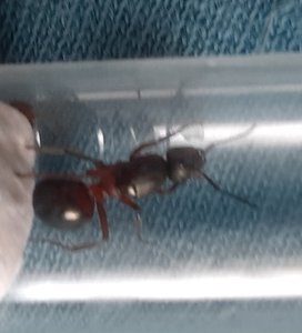 20190511_104057.jpg