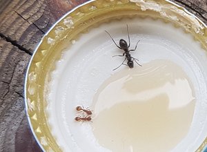 x20190523_171612.jpg