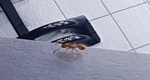 x20190523_173457.jpg
