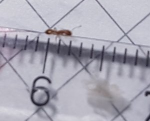 x20190523_173617.jpg