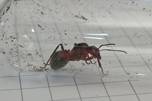 DSC_5849small.jpg