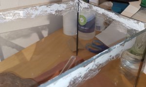 IMG_20190609_221127.jpg