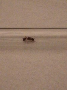 IMG_20190609_235143.jpg (1.98 MiB) 1002 mal betrachtet IMG_20190609_235143.jpg