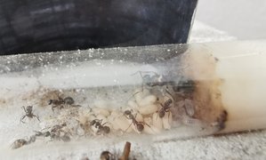 Als noch alles in Ordnung war :( <br />(ein oder zwei Monate nach der Winterruhe)