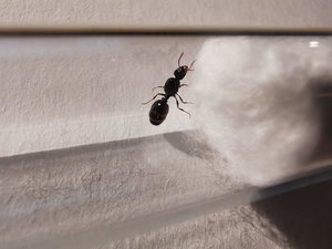 IMG_20190711_214011.jpg