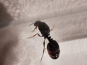 IMG_20190711_214048.jpg
