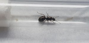 20190712_090443.jpg