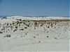 White Sands008.JPG