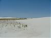 White Sands009.JPG