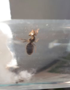 20190806_102839.jpg