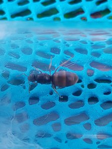 20190810_084900-2268x3024.jpg