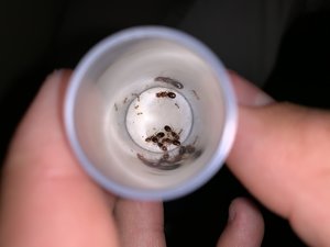 2892A371-6C12-4EBA-8DC2-8CB04CDCB5C0.jpeg (1.58 MiB) 1478 mal betrachtet 2892A371-6C12-4EBA-8DC2-8CB04CDCB5C0.jpeg