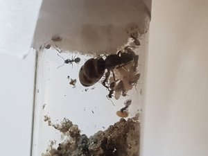 20190922_141003.jpg
