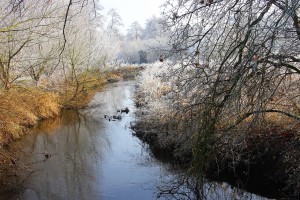 Winter_1.jpg