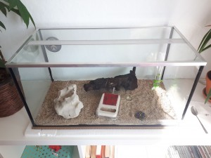 15888638788042928930649265050874.jpg (4.07 MiB) 6506 mal betrachtet Hier nochmal das Setup.