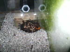 BILD1662.JPG