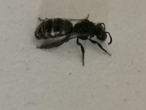 IMG_20200530_184913.jpg