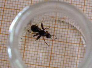 DSCF6807.JPG (3.34 MiB) 1841 mal betrachtet DSCF6807.JPG