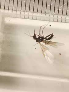 IMG_20200708_004953.jpg