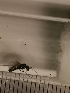 IMG_20200708_004836.jpg