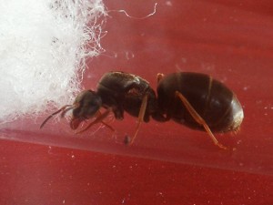 IMG_20200712_183003.jpg (1.51 MiB) 1746 mal betrachtet IMG_20200712_183003.jpg